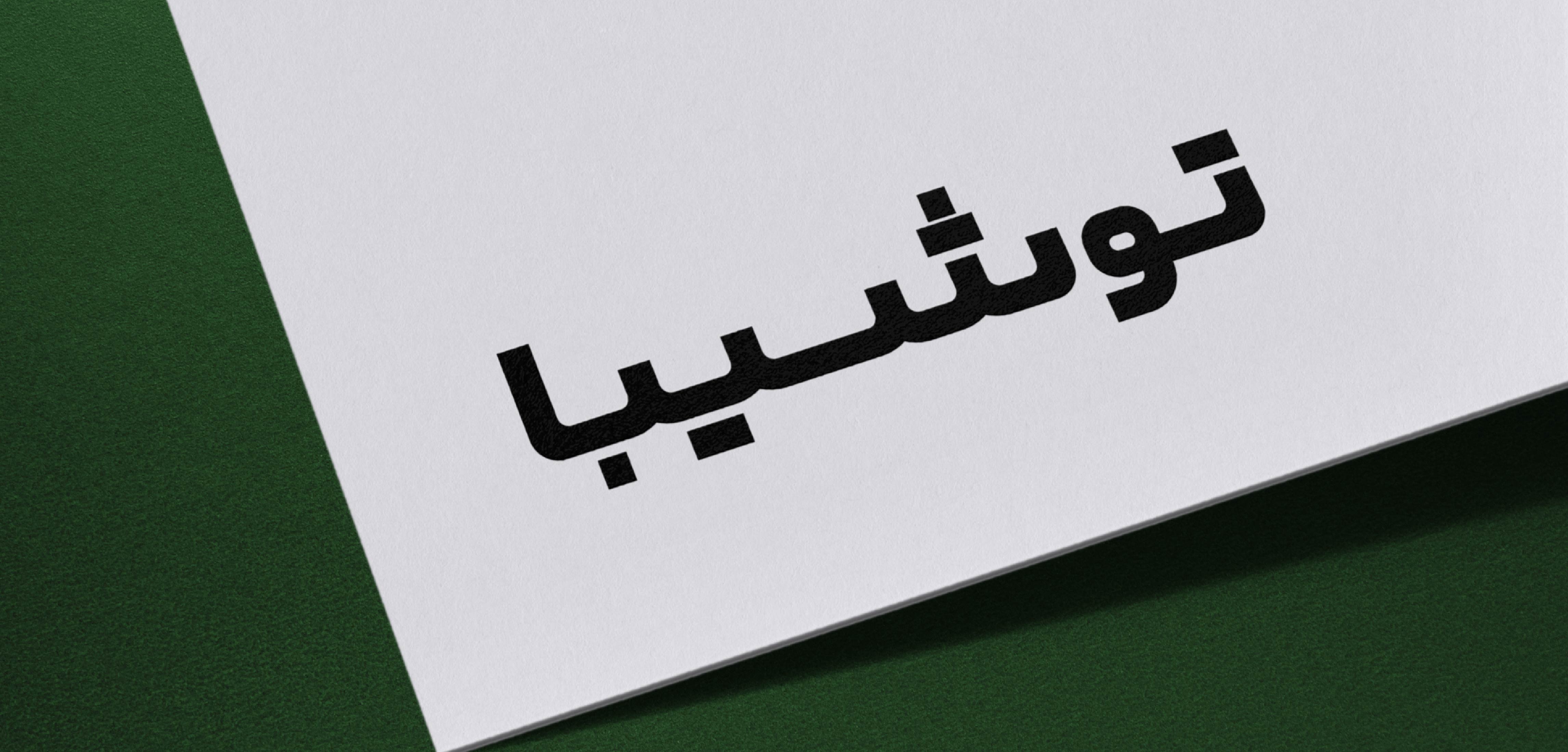 Toshiba Arabic:Persian Logotype5