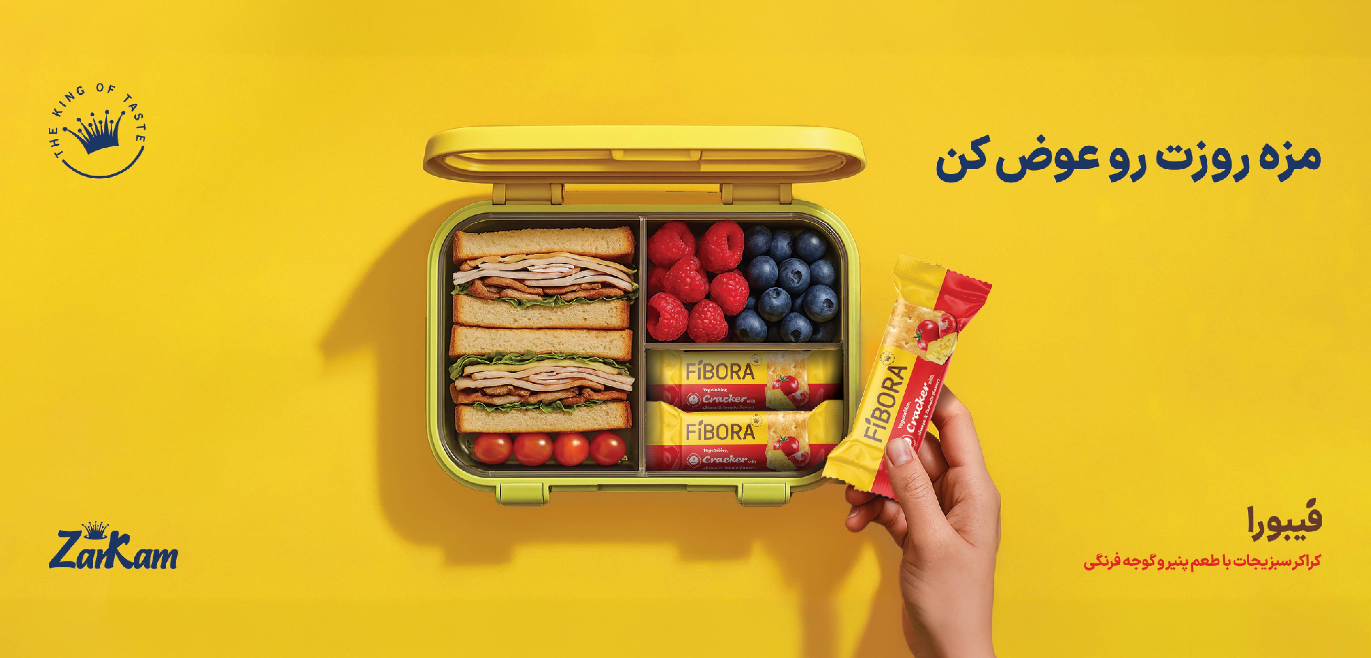 Zarkam Campaign-Mohsen Hosseinkhani1